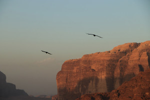 Wadi Rum