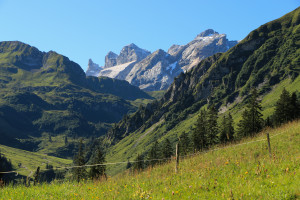 Austria and Switzerland