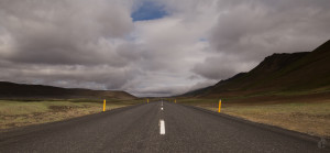 Wild Iceland