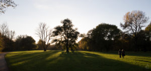English Garden Autumn